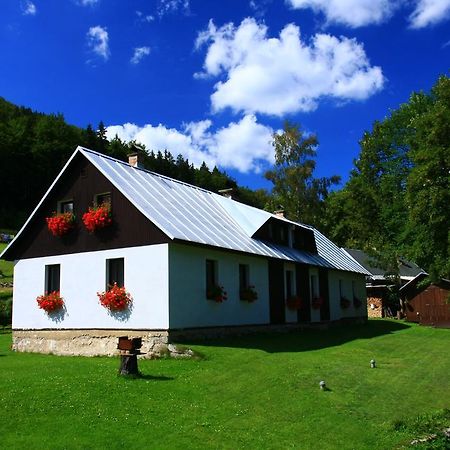 Guest House U Lakomce Desná Exterior foto