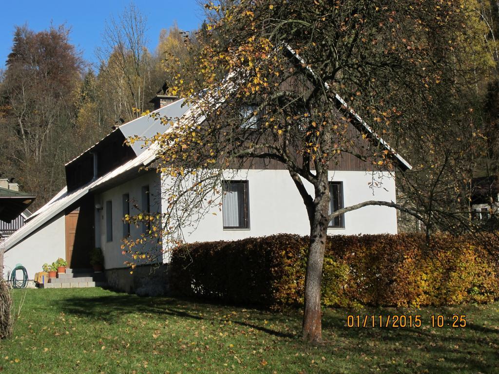 Guest House U Lakomce Desná Exterior foto